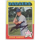 Steve Garvey autograph