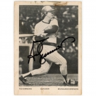 Ted Simmons autograph