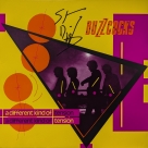 Buzzcocks (Steve Diggle) autograph