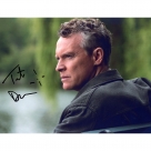 Tate Donovan autograph