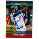 Nelson Velazquez autograph